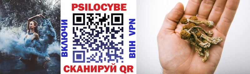 kraken как зайти  купить наркотики сайты  нарко площадка формула  Галлюциногенные грибы Cubensis  Весьегонск 